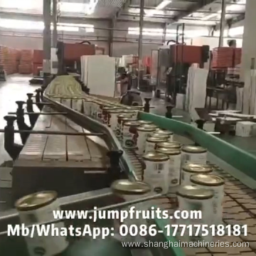 Tin can capping and sealing machine